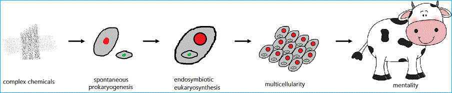 endosymbiotic eukaryosynthesis