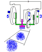 Prime O Graph